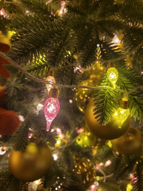 Mini 120LED Vintage Lights pastel bulb lamps 11.9m (493273)