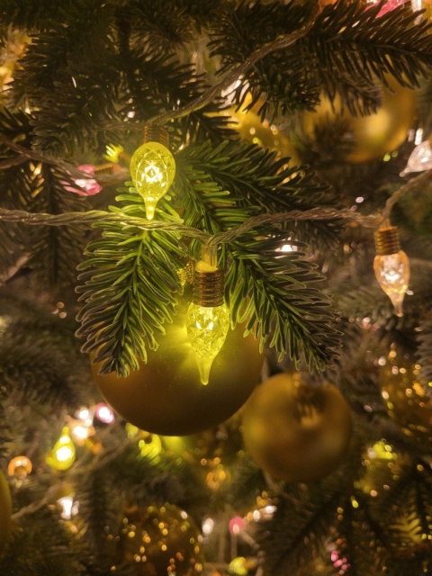 Mini 120LED Vintage Lights pastel bulb lamps 11.9m (493273)