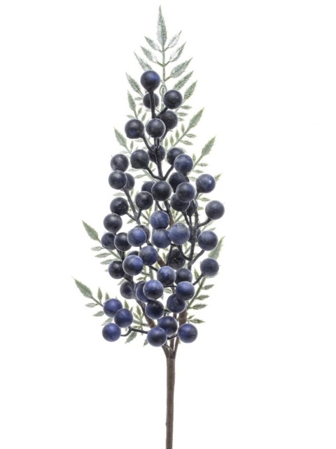 Branch with pomegranate fruits(132442)