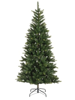 Choinka jodła Straja 210cm, wąska fi 109cm (684229)