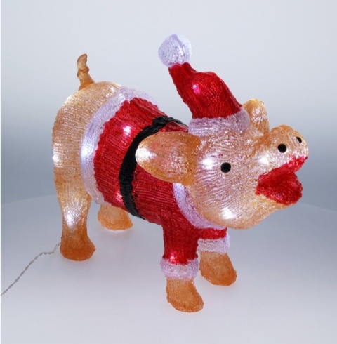 Pig acrylic LED timer (AMC000400)