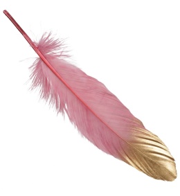 Kpl. 24 piór różowo-złotych dł. 18-20cm (258960)-20%