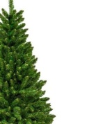 Colorado PVC green Christmas tree 210cm (DC1012)L