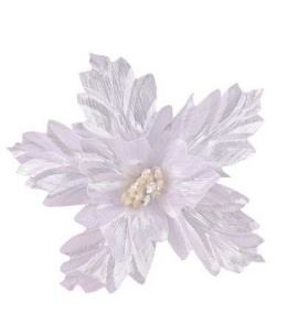 White and silver poinsettia (CV37121-MIX)