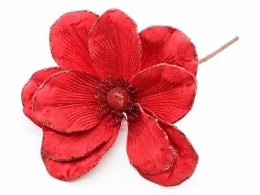 Magnolia on a burgundy peak, velvet, red brocade (CV34196-5)