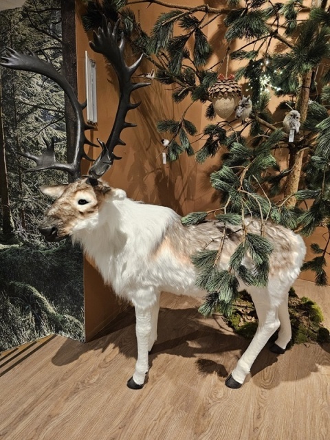 Renifer stojący 99cm futerko jasny beż 99x103x30cm (720027)