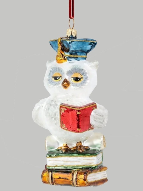Huras Bauble: Wise Owl with a Book (S1025)