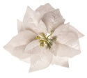 Ecru velvet poinsettia, 17cm diameter, on a clip (WYR03807)
