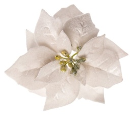Ecru velvet poinsettia, 17cm diameter, on a clip (WYR03807)