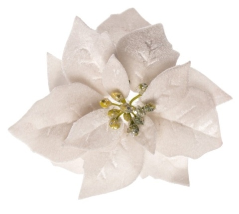 Ecru velvet poinsettia, 17cm diameter, on a clip (WYR03807)