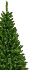 Choinka Colorado PVC green 240cm (DC1042)L