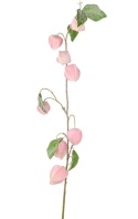 Branch 92cm frosted pink physalis (CV36637-2)