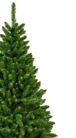 Choinka Colorado PVC green 240cm (DC1042)L