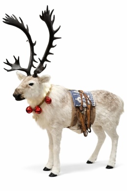 Standing reindeer, very large, fur, light beige, 177x150x56cm (720026)