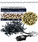 LED lamps 100L 5m warm (652/21/LED/WW)