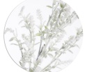 Frosted boxwood branch 70cm (GL03738)