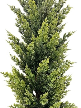 PE cypress tree 90cm in pot (RF0614)