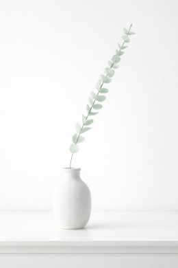 Single branch long 115cm 