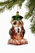 Glass ornament: Owl on a book, green hat (124010)