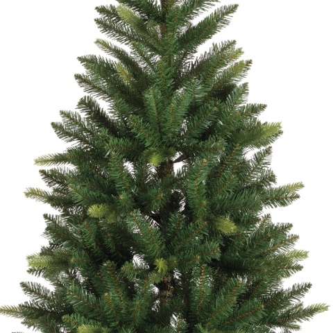 Choinka jodła Straja 180cm, wąska fi 96cm (684228)