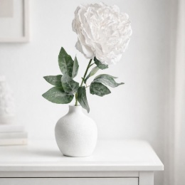Frosted white peony (KO4382)