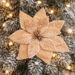 Poinsettia velvet beige 16cm on a clip (PON00674)
