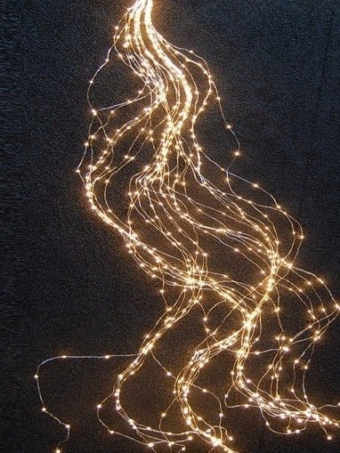 Lamps on wire 200LED bundle 10*200cm warm 230V (AX8701520;AX8702520)