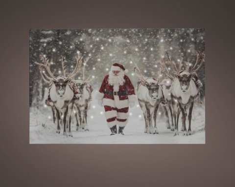 LED Picture: Santa with Reindeer (481334)