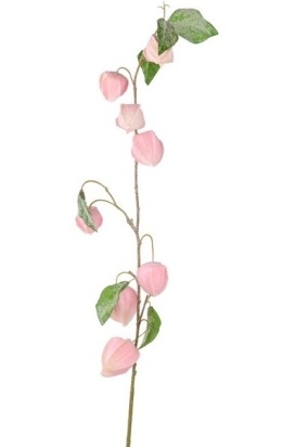 Branch 92cm frosted pink physalis (CV36637-2)