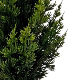 PE tree 60cm in pot (RF0613)