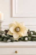 Magnolia śnieżna beżowa na piku (SX1228)