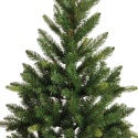 Choinka jodła Straja 150cm- wąska fi 81cm (684227)