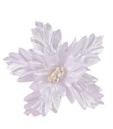 White and silver poinsettia (CV37121-MIX)