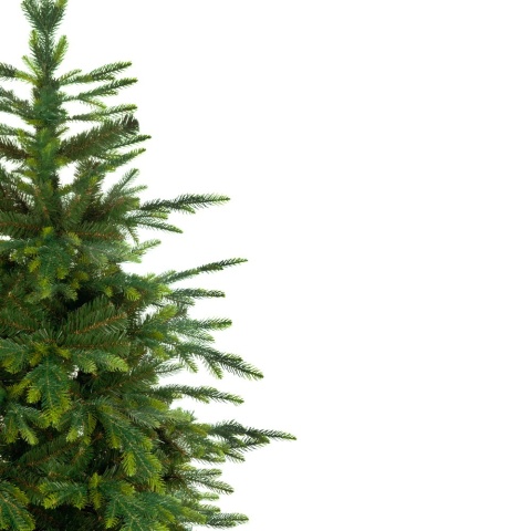 Christmas Tree Spruce PE Scandinavian 150cm (E)