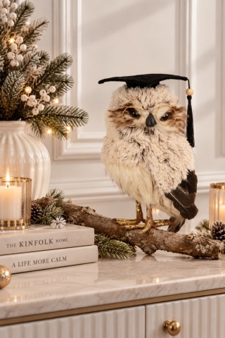 "Professor" owl, standing, facing right (704626)
