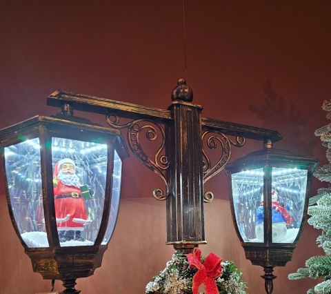 Double-arm street lamp, 180 cm, 60 LEDs, swirling snow (489732)