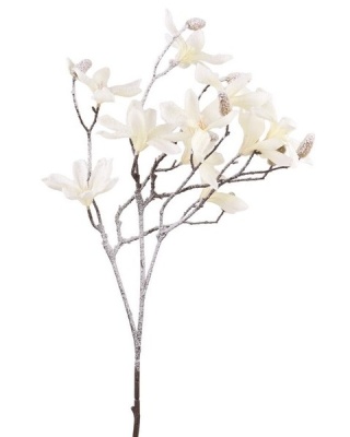 Gałązka magnolia ecru śnieżona drobne kwiaty 65cm (CV36630)