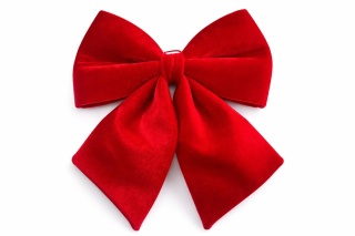 Thick red velvet bow (SX1192)