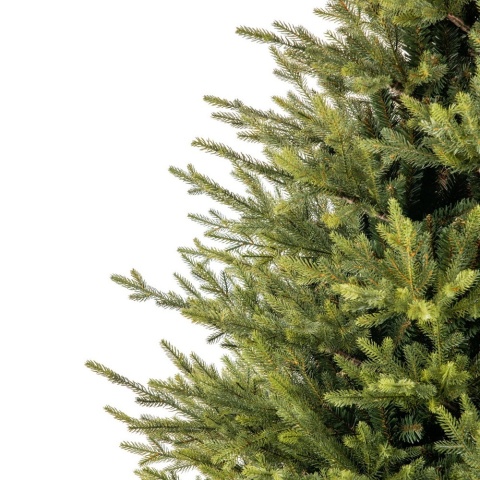 Choinka Świerk PE Premium 260cm (E)