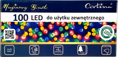 Lampki LED 100L transformator 5mb kolorowe (652/21/LED/M)