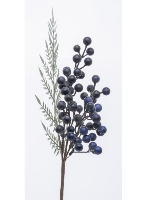 Branch with pomegranate fruits(132442)