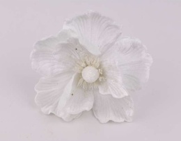 Magnolia welur biała (CV37465-1)