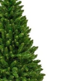 Colorado PVC green Christmas tree 180cm (DC1011)L