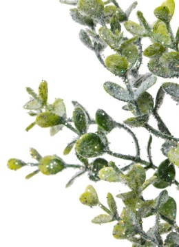 Frosted boxwood branch 36cm (GL03515)