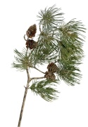 Pine branch 50cm PU with cones (ART19637)