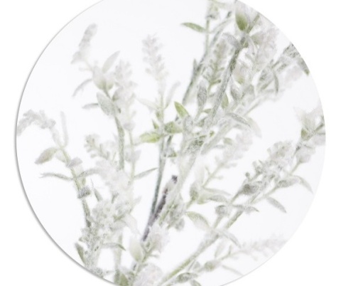 Frosted boxwood branch 70cm (GL03738)