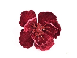 Magnolia welur bordowa (CV37465-4)