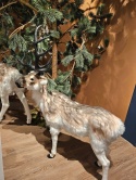 Standing reindeer 99cm fur light beige 99x103x30cm (720027)