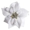 White velvet poinsettia, 17cm diameter, on a clip (WYR03808)