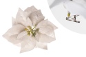 Ecru velvet poinsettia, 17cm diameter, on a clip (WYR03807)
